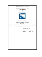 (TIỂU LUẬN) REPORT ASSIGNMENT MANAGING SCHOOL SUBJECTS project title ENVIRONMENTAL ANALYSIS OF SACOMBANK AND MANAGER 