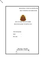 (TIỂU LUẬN) báo cáo THỰC tập tốt NGHIỆP BỆNH VIỆN đại học võ TRƯỜNG TOẢN 22 