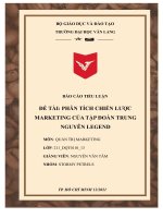 (TIỂU LUẬN) TIỂU LUẬN đề tài PHÂN TÍCH CHIẾN lược MARKETING của tập đoàn TRUNG NGUYÊN LEGEND 