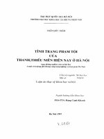 Luận án tiến sĩ tình trạng phạm tôi của thanh, thiếu niên hiện nay ở hà nội 