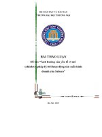 (TIỂU LUẬN) thảo luận nhóm TMU ảnh hưởng của yếu tố vĩ mô (chính trị pháp lý) tới hoạt động sản xuất kinh doanh của sabeco 