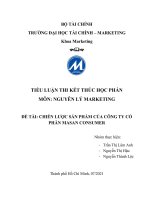 TIỂU LUẬN THI KẾT THÚC HỌC PHẦN MÔN NGUYÊN LÝ MARKETING ĐỀ TÀI CHIẾN LƯỢC SẢN PHẨM CỦA CÔNG TY CỔ PHẦN MASAN CONSUMER