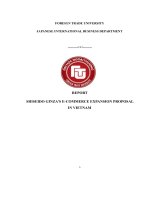 (TIỂU LUẬN) REPORT SHISEIDO GINZA’S e COMMERCE EXPANSION PROPOSAL IN VIETNAM 