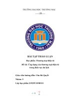 (TIỂU LUẬN) thảo luận nhóm TMU học phần thương mại điện tử đề tài ứng dụng của thương mại điện tử  trong lĩnh vực du lịch 