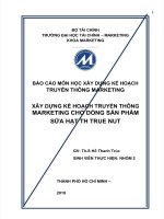 XÂY DỰNG kế HOẠCH TRUYỀN THÔNG MARKETING CHO DÒNG sản PHẨM sữa hạt TH TRUE NUT 
