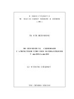 Luận văn thạc sĩ UEH hoạch định chiến lược kinh doanh của trung tâm điện thoại di động CDMA s TELECOM từ năm 2010 đến năm 2014 