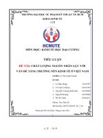 (TIỂU LUẬN) TIỂU LUẬN đề tài CHẤT LƯỢNG NGUỒN NHÂN lực với vấn đề TĂNG TRƯỞNG nền KINH tế ở VIỆT NAM 