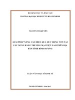 Luận văn thạc sĩ UEH giải pháp nâng cao hiệu quả huy động vốn tại các ngân hàng thương mại việt nam trên địa bàn tỉnh bình dương 