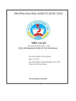 TIỂU LUẬN môn kinh tế chính trị mác – lênin đề tài hội nhập kinh tế quốc tế ở việt nam hiện nay 