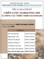 (TIỂU LUẬN) CHỌN 1 LĨNH vực KINH DOANH 1 sản PHẨM 1 NHÓM KHÁCH HÀNG mà bạn tâm đắt, hãy đề XUẤT CHIẾN lược MARKETING MIX để đáp ỨNG NHU cầu KHÁCH HÀNG mục TIÊU đó 