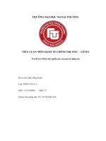 TIỂU LUẬN môn KINH tế CHÍNH TRỊ mác – LÊNIN tên đề tài phân tích nguồn gốc của giá trị thặng dư 