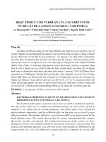 Hoạt tính ức chế vi khuẩn của cao chiết nước từ rễ cây dừa (Cocos nucifera L. var typica)