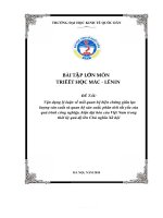 (TIỂU LUẬN) vận dụng lý luận về mối quan hệ biện chứng giữa lực lượng sản xuất và quan hệ sản xuất, phân tích tất yếu của quá trình công nghiệp, hiện đại hóa của việt nam trong thời kỳ quá độ lên chủ nghĩa 