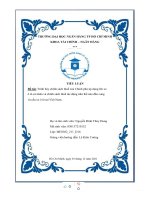 (TIỂU LUẬN) trình bày chính sách thuế của chính phủ áp dụng lên xe ô tô cá nhân và chính sách thuế tác động như thế nào đến cung và cầu xe ô tô tại việt nam  