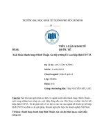 TIỂU LUẬN KINH tế QUỐC tế đề tài xuất khẩu thanh long ở bình thuận vào thị trường EU sau hiệp định EVFTA 