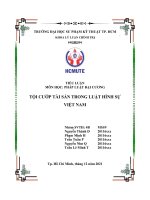 TIỂU LUẬN môn học PHÁP LUẬT đại CƯƠNG tội cướp tài sản TRONG LUẬT HÌNH sự VIỆT NAM 