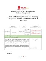 (TIỂU LUẬN) unit 2  marketing processes and planning assignment  DOING MARKETING PLAN IN VIETNAM 