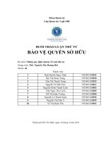 (TIỂU LUẬN) BUỔI THẢO LUẬN THỨ tư bảo vệ QUYỀN sở hữu bộ môn những quy định chung về luật dân sự 