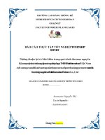 Những thuận lợi và khó khăn trong quá trình thu mua nguyên liệu may mặc từ các nhà cung cấp nước ngoài tại công ty TNHH bultel international việt nam 