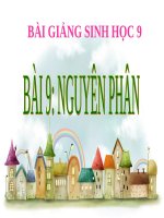 Bài giảng Nguyên phân Sinh học 9
