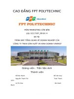 (TIỂU LUẬN) TRÌNH bày TỔNG QUAN về DOANH NGHIỆP của CÔNG TY TNHH sản XUẤT và KINH DOANH VINFAST 