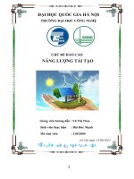 (TIỂU LUẬN) CHỦ đề báo cáo NĂNG LƯỢNG tái tạo 