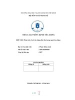 TIỂU LUẬN môn KINH tế LƯỢNG đề tài phân tích yếu tố tác động đến tiền lương người lao động 