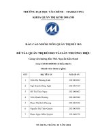 BÁO CÁO NHÓM MÔN QUẢN TRỊ RỦI RO ĐỀ TÀI QUẢN TRỊ RỦI RO TÀI SẢN THƯƠNG HIỆU