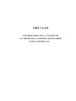Tiểu luận CCLL, giải pháp phòng ngừa, ứng phó có hiệu quả với các mối đe dọa an ninh phi truyền thống ở việt nam hiện nay