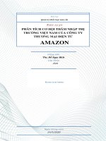 CƠ HỘI THÂM NHẬP THỊ TRƯỜNG VIỆT NAM CỦA CÔNG TY THƯƠNG MẠI ĐIỆN TỬ AMAZON. Thị trường Việt Nam có hấp dẫn để AMAZON đầu tư? Nếu phải thâm nhập thị trường Việt Nam, AMAZON cần lựa chọn phương thức nào?