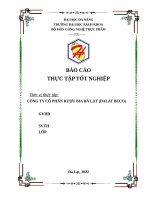 BÁO cáo THỰC tập tốt NGHIỆP đơn vị thực tập CÔNG TY cổ PHẨN rượu BIA đà lạt (DALAT BECO) 
