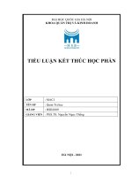(TIỂU LUẬN) chọn 1 doanh nghiệp xây dựng (thông qua internet, sàn chứng khoán, website doanh nghiệp) và mô tả nhà quản trị của doanh nghiệp đó thực hiện chức năng kiểm tra như thế nào 