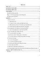 (TIỂU LUẬN) BIỆN PHÁP PHÕNG NGỪA, GIẢM THIỂU tác ĐỘNG TIÊU cực và PHÕNG NGỪA, ỨNG PHÓ rủi RO, sự cố của dự án 
