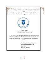 (TIỂU LUẬN) trình bày thị phần các thương hiệu ô tô cá nhân trên thị  trường việt nam  hãy mô tả diễn biến giá xe ô tô trên thị trường việt nam trong 5 năm gần đây  phân tích và chỉ rõ nguyên nhân 