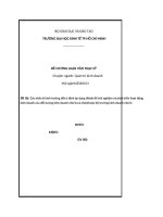 (TIỂU LUẬN) các nhân tố ảnh hưởng đến ý định áp dụng tiktok để trải nghiệm và phát triển hoạt động kinh doanh của đối tượng kinh doanh nhỏ lẻ,cá nhân(hoặc thị trường kinh doanh nhỏ lẻ 