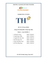 (TIỂU LUẬN) dự án TH true MILK  TỔNG QUAN về DOANH NGHIỆP công ty cổ phần thực phẩm TH 