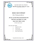 (TIỂU LUẬN) môn thương mại điện tử đề tài lập kế HOẠCH KINH DOANH THƯƠNG mại điện tử CHO mật ONG THỤC LINH 