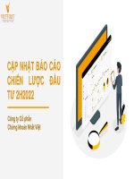 Cập nhật báo cáo chiến lược đầu tư