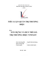 TIỂU LUẬN QUẢN TRỊ THƯƠNG HIỆU đề tài xây DỰNG và DUY TRÌ GIÁ TRỊ THƯƠNG HIỆU VINFAST 
