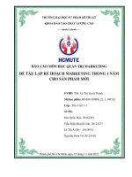 BÁO cáo môn học QUẢN TRỊ MARKETING đề tài lập kế HOẠCH MARKETING TRONG 1 năm CHO sản PHẨM mới 