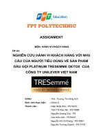 Assignment hành vi khách hàng  -  NGHIÊN CỨU HÀNH VI KHÁCH HÀNG VỚI NHU CẦU CỦA NGƯỜI TIÊU DÙNG VỀ SẢN PHẨM DẦU GỘI PLATINUM TRESEMME DETOX CỦA CÔNG TY UNILEVER VIỆT NAM