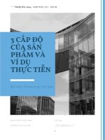 (TIỂU LUẬN) cơ sở lý luận về marketing, marketing – mix  các yếu tố cấu thành lên 3 cấp độ của sản phẩm với việc thỏa mãn nhu cầu khách hàng 