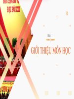 (TIỂU LUẬN) GIỚI THIỆU môn học l ị c h s ử ĐẢNG CỘNG sản VIỆT 