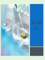 (TIỂU LUẬN) công nghệ chế biến đồ uống đề TÀIKHẢO sát ẢNH HƯỞNG của CHẤT DINH DƯỠNG đến QUÁ TRÌNH lên MEN TRONG sản XUẤT cồn ETYLIC 