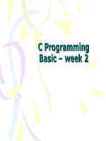 C Programming Basic – week 2Basic – week 2