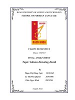 (TIỂU LUẬN) FINAL ASSIGNMENT topic idioms denoting death 