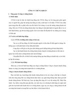 (TIỂU LUẬN) CÔNG TY CHỨNG KHOÁN tổng quan về công ty chứng khoán 