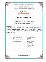 (TIỂU LUẬN) xây DỰNG và TRIỂN KHAI THỰC HIỆN kế HOẠCH EMAIL MARKETING CHO sản PHẨM điện THOẠI GALAXY s22 ULTRA tại CÔNG TY TNHH điện tử SAMSUNG VINA 