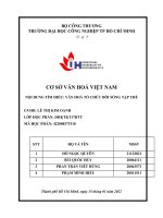 (TIỂU LUẬN) cơ sở văn HOÁ VIỆT NAM nội DUNG tìm HIỂU văn HOÁ tổ CHỨC đời SỐNG tập THỂ 