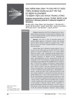 ĐẶC ĐIỂM HÌNH ẢNH 18 F-FDG PET/CT NÃO TRÊN 26 BỆNH NHÂN SA SÚT TRÍ TUỆ DO BỆNH ALZHEIMER TẠI BỆNH VIỆN LÃO KHOA TRUNG ƯƠNG